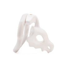 Load image into Gallery viewer, 3D Dinosaur Skull Resin Chastity Cage