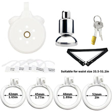 Load image into Gallery viewer, Inverted Plugged Flat Cock Cage