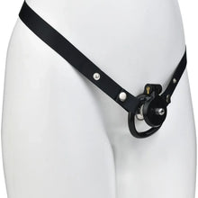 Load image into Gallery viewer, Inverted Plugged Flat Cock Cage