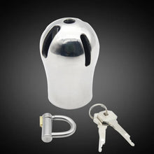 Load image into Gallery viewer, Stainless Steel PA Lock Cock Cage with D-Ring