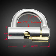 Load image into Gallery viewer, Stainless Steel PA Lock Cock Cage with D-Ring