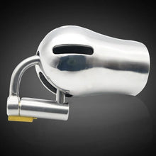 Load image into Gallery viewer, Stainless Steel PA Lock Cock Cage with D-Ring