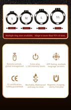 Load image into Gallery viewer, Lockink Electric Eel Estim Play Chastity Cage -rings