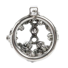 Load image into Gallery viewer, Bolted Chastity Cage with Spikes
