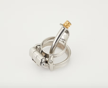 Load image into Gallery viewer, Custom Urethral Chastity Cage