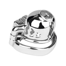 Load image into Gallery viewer, Dolphin Chastity Cage With PA Piercing -1