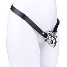 Load image into Gallery viewer, Dolphin Chastity Cage With PA Piercing -5