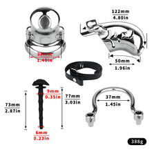 Load image into Gallery viewer, Dolphin Steel Chastity Cage with Anti-ring Removable - 7