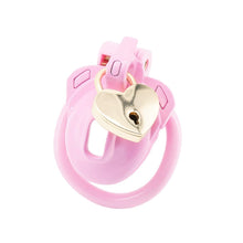 Load image into Gallery viewer, Double Lock Lightweight Chastity Cage 1