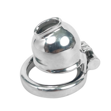 Load image into Gallery viewer, Custom Seal Chastity Cage