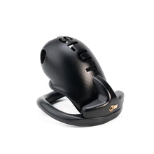 Load image into Gallery viewer, Extreme humiliation SLUT Chastity Cage in alternate gallery view 6