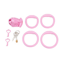 Load image into Gallery viewer, Extreme humiliation SLUT Chastity Cage feature details graphic 15