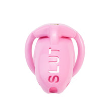 Load image into Gallery viewer, Extreme humiliation SLUT Chastity Cage in alternate gallery view 5