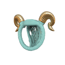 Load image into Gallery viewer, Flat Goat Resin Chastity Cage With Detachable Horns