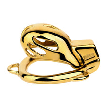 Load image into Gallery viewer, Golden Stainless Steel Mamba Cage with Belt 2026 Edition fit view