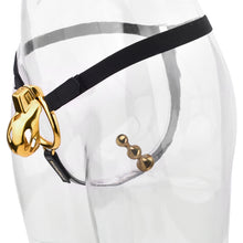 Load image into Gallery viewer, Golden Stainless Steel Mamba Cage with Belt 2026 Edition front view