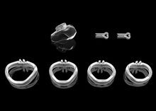 Load image into Gallery viewer, V6 Male Chastity Cage