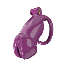 Load image into Gallery viewer, Penis-Shaped Chastity Cage