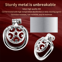 Load image into Gallery viewer, Small Steel Chastity Cage