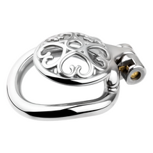 Load image into Gallery viewer, Small Steel Chastity Cage