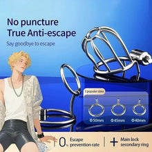 Load image into Gallery viewer, Happy Pride Chastity Cage With Support 4