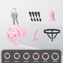 Load image into Gallery viewer, Flat ABS Chastity Cage With Inverted Plug
