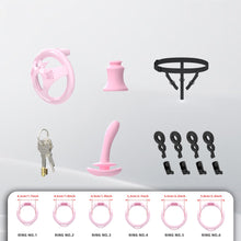 Load image into Gallery viewer, Flat ABS Chastity Cage With Inverted Plug