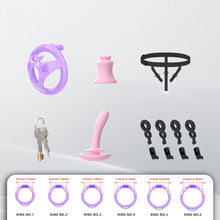 Load image into Gallery viewer, Flat ABS Chastity Cage With Inverted Plug