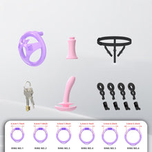Load image into Gallery viewer, Flat ABS Chastity Cage With Inverted Plug