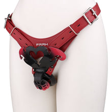 Load image into Gallery viewer, Demon's Dream Chastity Cage