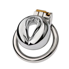 Load image into Gallery viewer, Multi Style Stainless Steel Pussy Cock Cage 3