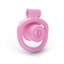 Load image into Gallery viewer, BDSM Sissy Slave Inverted Male Chastity Cage