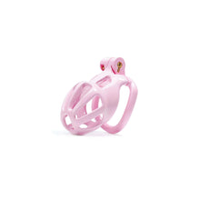 Load image into Gallery viewer, Pink Stripe Mamba Chastity Cage Kit 1.77 To 4.13 Inches Long fit view