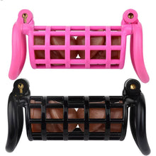 Load image into Gallery viewer, Plastic Twin Chastity Cage