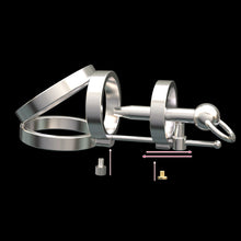 Load image into Gallery viewer, Punk Series Chastity Cage