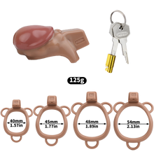 Load image into Gallery viewer, ABS Penis Chastity Lock