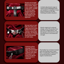 Load image into Gallery viewer, Silver Scale Armor Chain Chastity Pants belt and surface comparison graphic