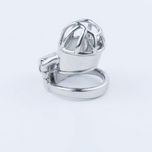 Load image into Gallery viewer, Stainless Steel Custom Chastity Cage With PA T15 - 3