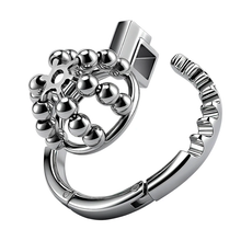 Load image into Gallery viewer, Steel Ball Metal Chastity Lock - 2