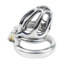 Load image into Gallery viewer, Steel Custom Cock Cage with PA