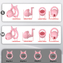 Load image into Gallery viewer, Sweetheart Butterfly ABS Chastity Cage Kit