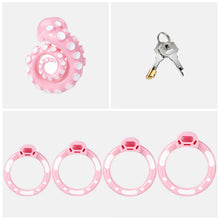 Lade das Bild in den Galerie-Viewer, Pink standard set with four base rings and cylinder lock with two keys