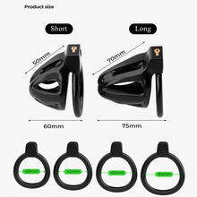 Load image into Gallery viewer, Two Cages Male Chastity Devices - 2