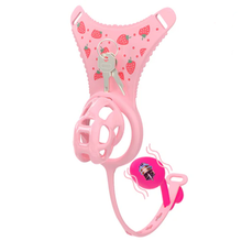 Load image into Gallery viewer, Upgraded Chastity Cage With Underwear And Plug