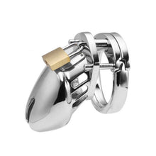 Load image into Gallery viewer, Pinned Prince(ss) Metal Chastity Cage 2.76 inches Long
