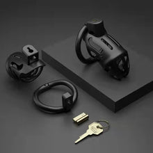 Load image into Gallery viewer, Cobra Chastity Cage