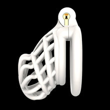 Load image into Gallery viewer, 3D Stegosaurus Spine Bone Chastity Device Kit