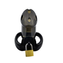 Load image into Gallery viewer, Train Your Man Holy Trainer Chastity Cage