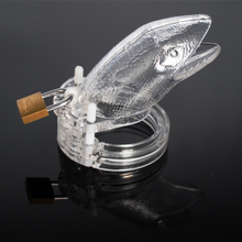 Load image into Gallery viewer, Chastity Cage 3.81 Inches Long (All 5 Rings Included)