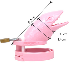 Load image into Gallery viewer, Chastity Cage 3.81 Inches Long (All 5 Rings Included)